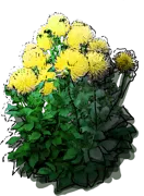 Roślina - Dalia kaktusowa \u0022Yellow Happiness\u0022