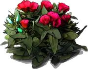 Roślina - Eustoma wielkokwiatowa