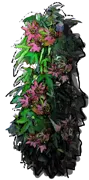 Roślina - Męczennica violaceae Victoria